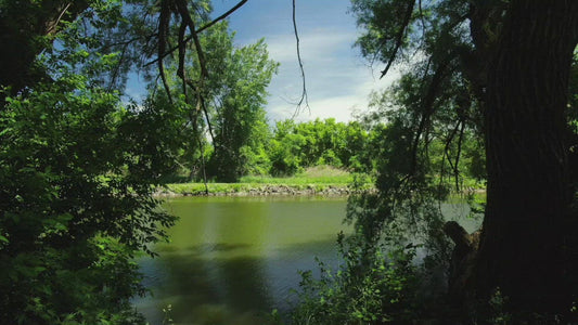 Video - Person riding bike for exercise by Erie Canal during summer