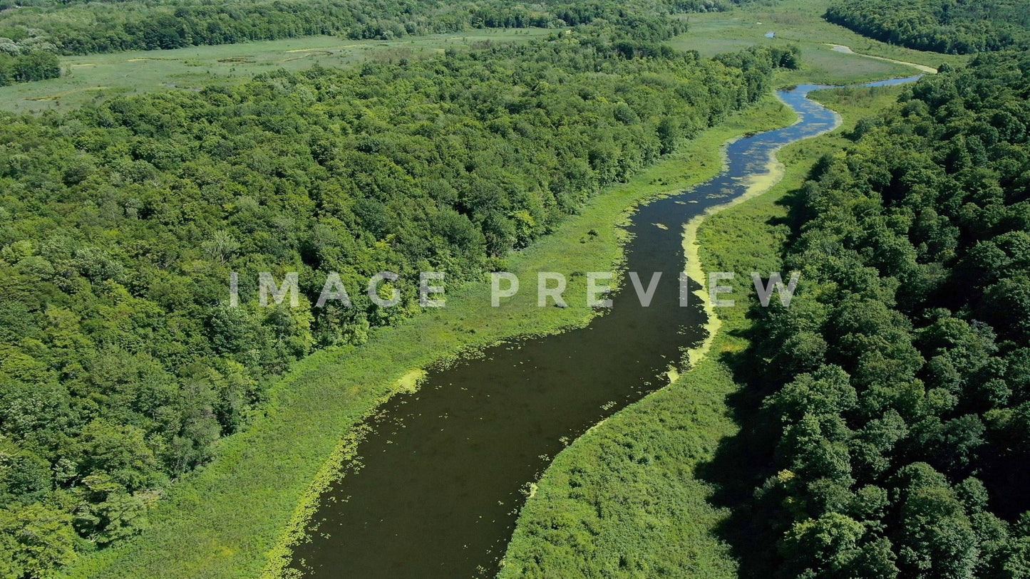 stock photo lake shore marsh new york lake ontario