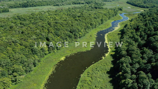 stock photo lake shore marsh new york lake ontario