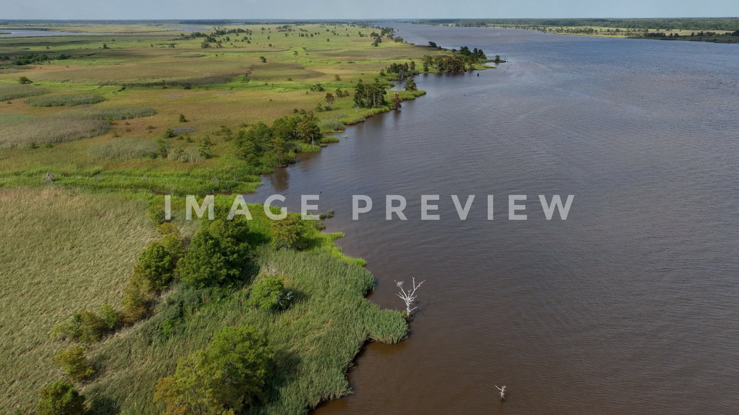 stock photo georgetown sc rice fields