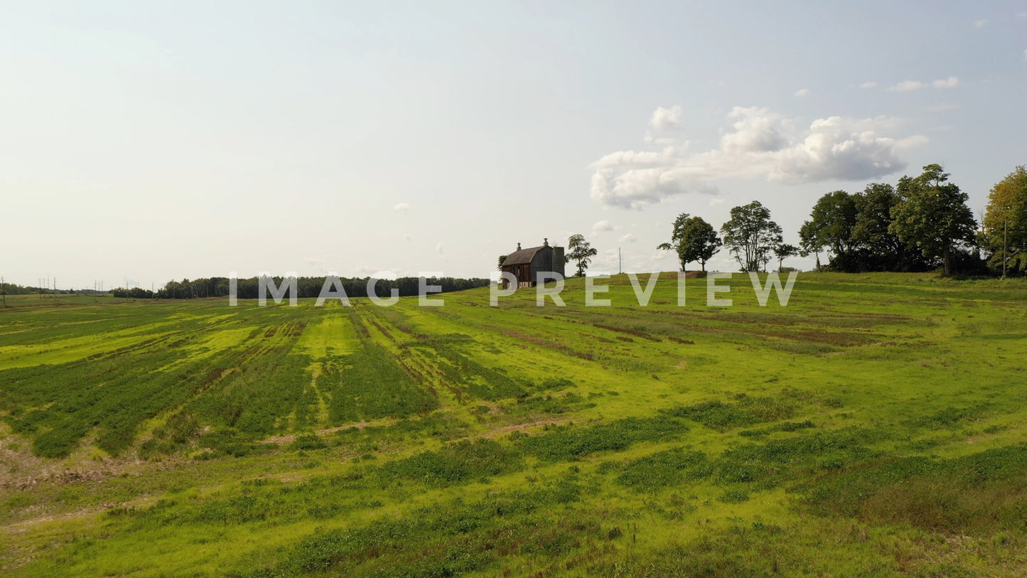 stock photo barn in green pasture