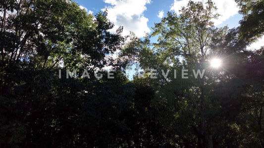 4k Still Frame - Blue sky and clouds with sun peaking through trees