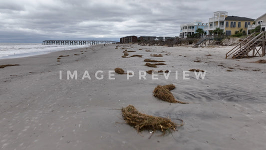 stock photo hurricane IAN damage to Pawleys island SC