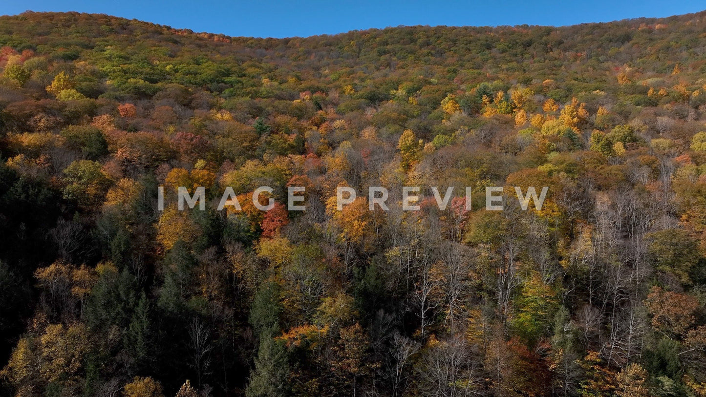 stock photo mountain with trees in fall colors