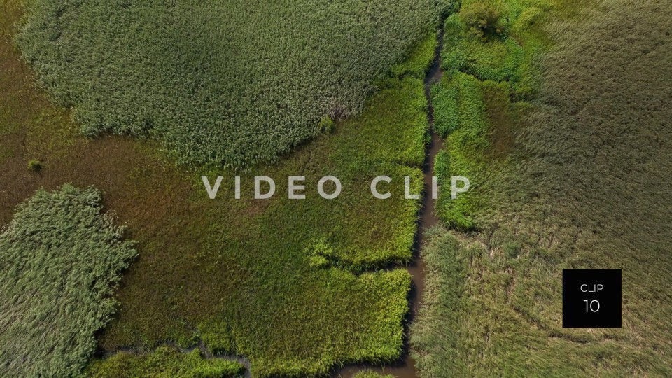 stock video ricefields south carolina steve tanner stock