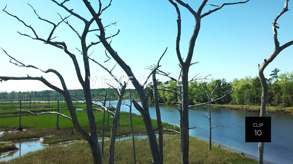 stock video rice fields south carolina steve tanner stock