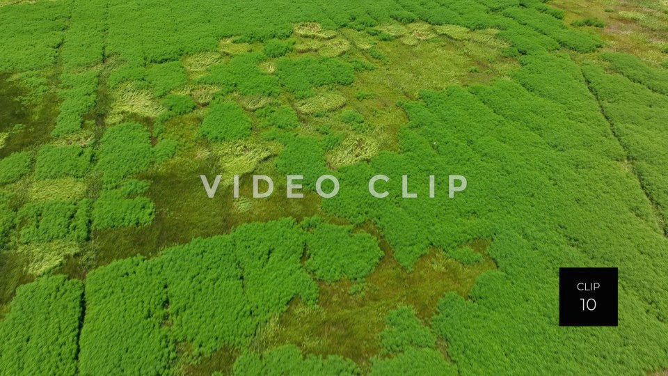 stock video ricefields south carolina steve tanner stock