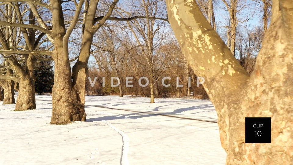 CLIP 10 - Tree orchard in Winter at Ellison Park, NY