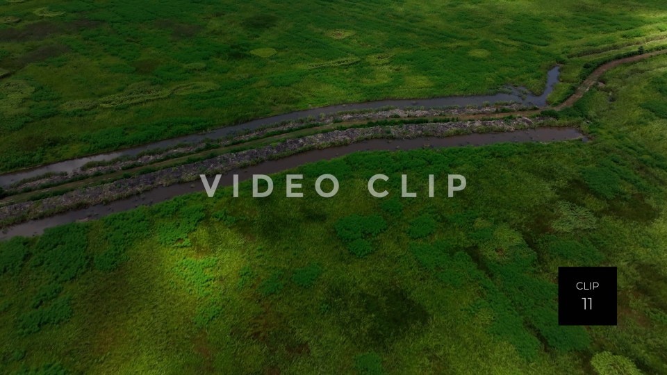 stock video ricefields south carolina steve tanner stock