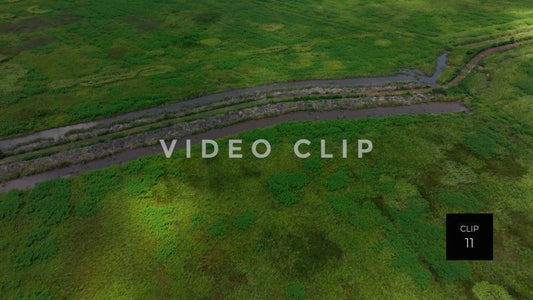 stock video ricefields south carolina steve tanner stock