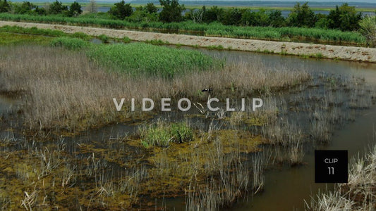 stock video estherville rice fields south carolina steve tanner stock