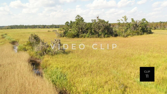 stock video ricefields south carolina steve tanner stock