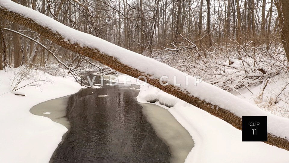 CLIP 11 - Fallen tree over creek during Winter with snow