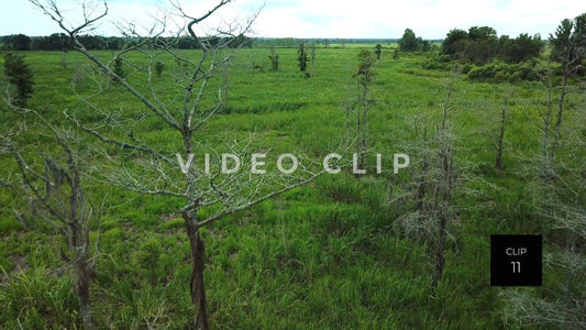 CLIP 11 - South Carolina Ricefields - Samsworth Plantation