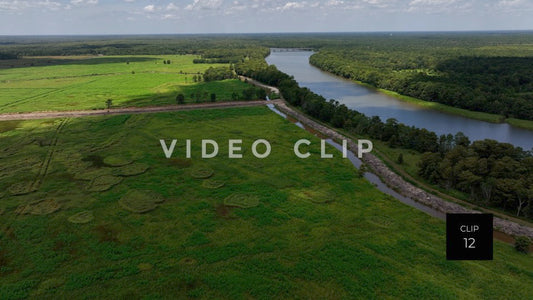 stock video ricefields south carolina steve tanner stock