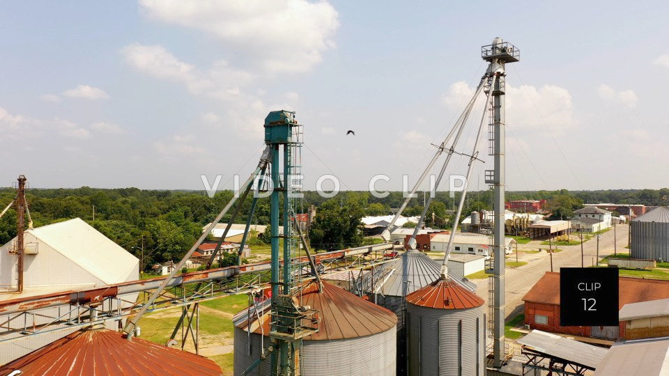 CLIP 12 - Hawkinsville, GA bird landing on grain silo tower