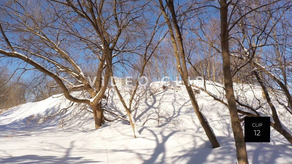 CLIP 12 - Snow covered hillside with trees in Winter under blue sky