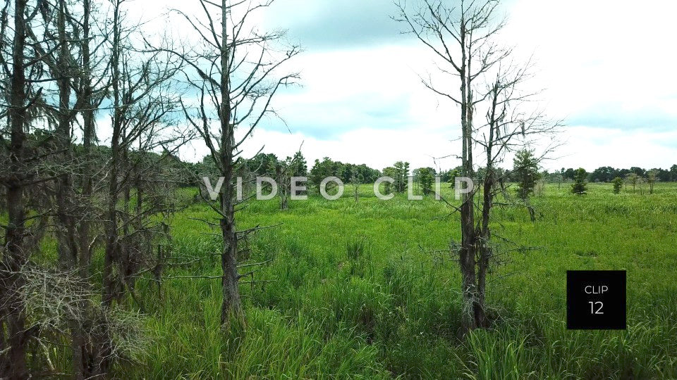 CLIP 12 - South Carolina Ricefields - Samsworth Plantation