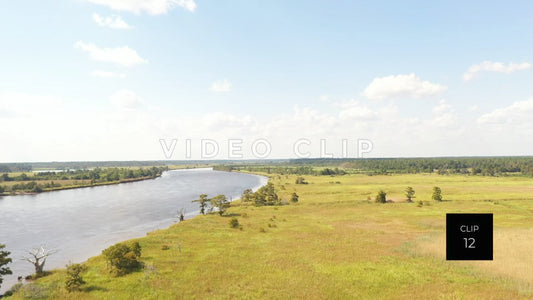 stock video ricefields south carolina steve tanner stock