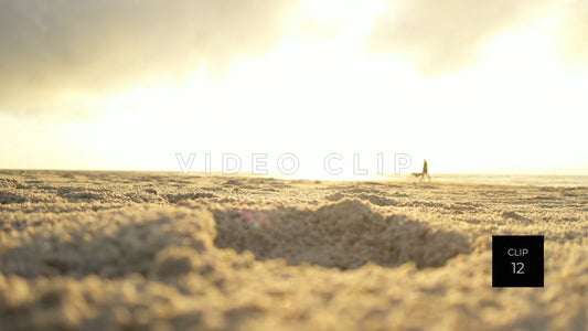 CLIP 12 - Litchfield Beach, SC person taking a morning walk with dog on the beach