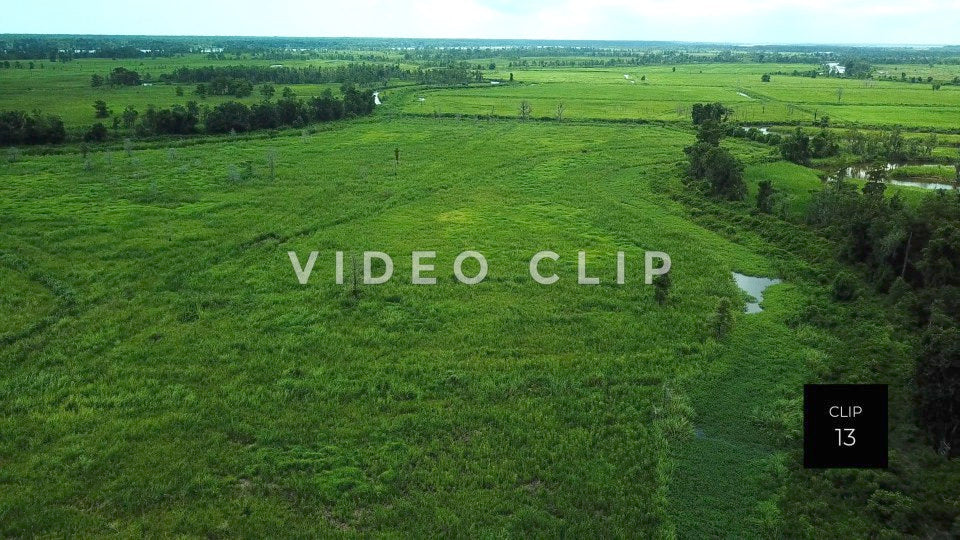 CLIP 13 - South Carolina Ricefields - Samsworth Plantation