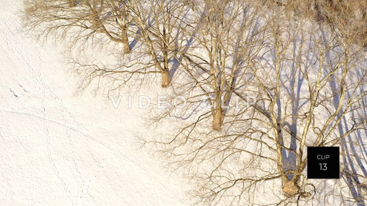 CLIP 13 - Looking down on tree orchard by snow covered field in Winter at Ellison Park, NY