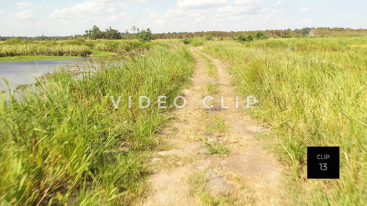 stock video ricefields south carolina steve tanner stock