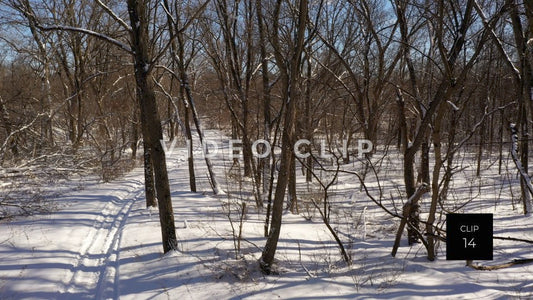 CLIP 14 - Forest with trees in Winter with snow mobile hiking trial