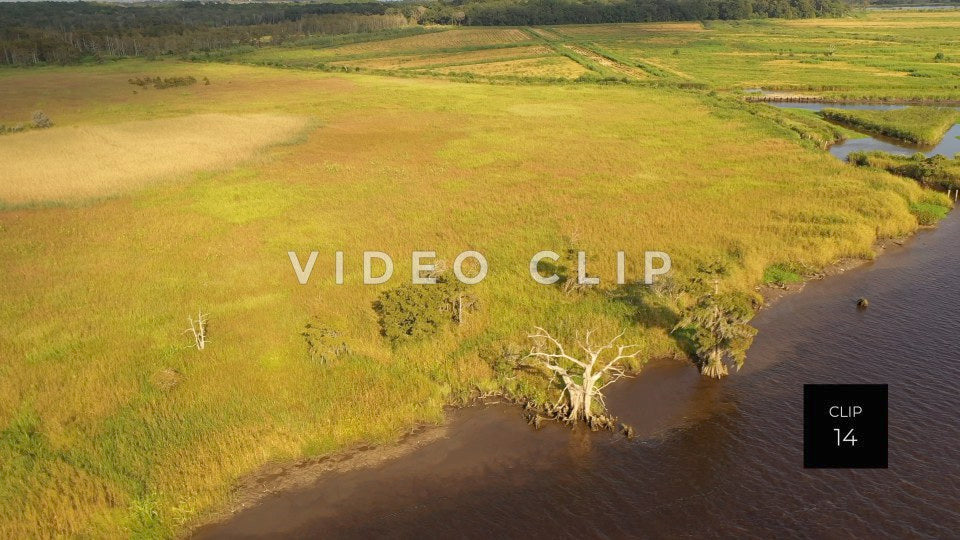 stock video ricefields south carolina steve tanner stock