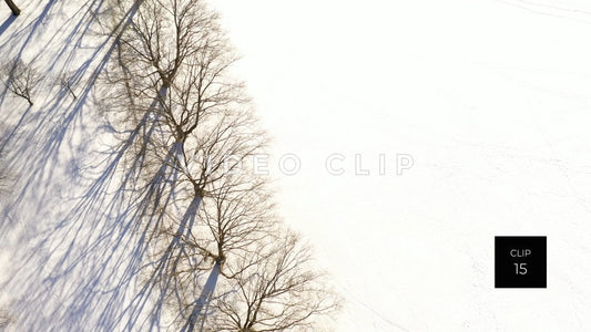 CLIP 15 - Snow covered field beside tree orchard in Winter at Ellison Park, NY