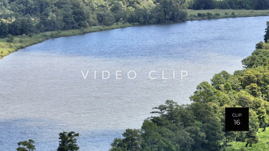 stock video ricefields south carolina steve tanner stock