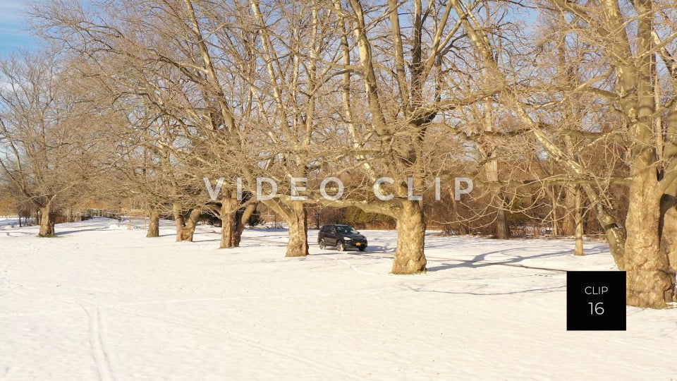 CLIP 16 - Car travels past tree orchard in Winter at Ellison Park, NY