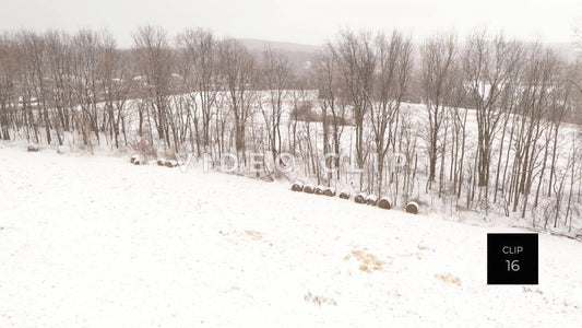 CLIP 16 - Person walks in park while snow in falling during Winter