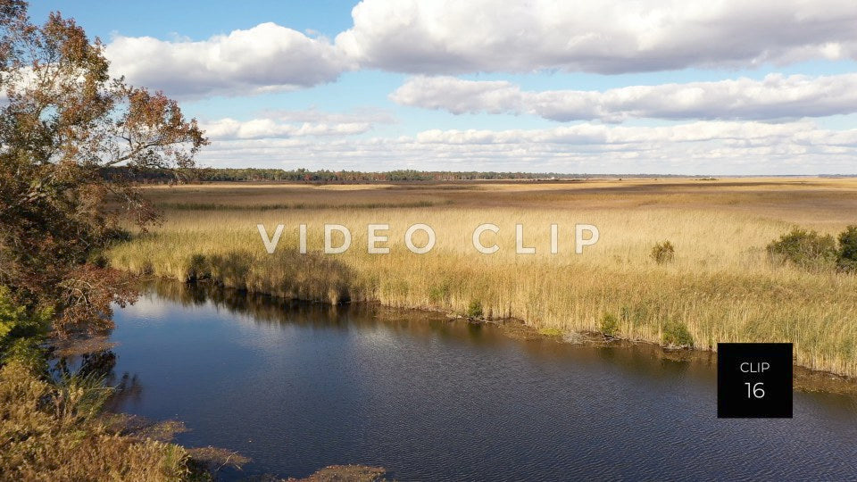 stock video ricefields south carolina steve tanner stock