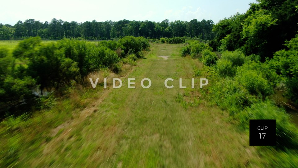 stock video estherville rice fields south carolina steve tanner stock