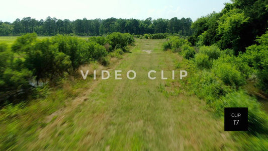 stock video estherville rice fields south carolina steve tanner stock