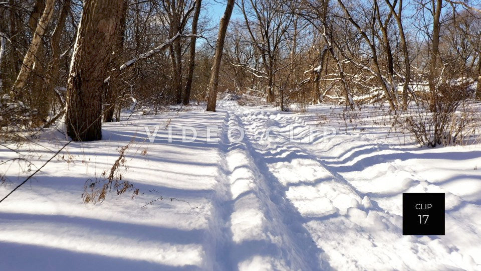 CLIP 17 - Snow mobile and walking trail cuts through forest in Winter