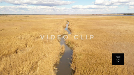 stock video ricefields south carolina steve tanner stock