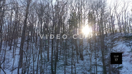 CLIP 17 - Sun shines through trees in Winter at Ellison Park, NY