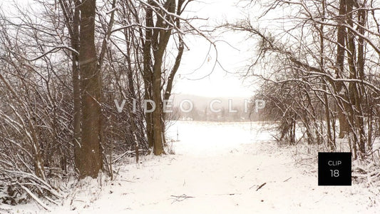 CLIP 18 - Fields and trees with snow falling in Wintertime