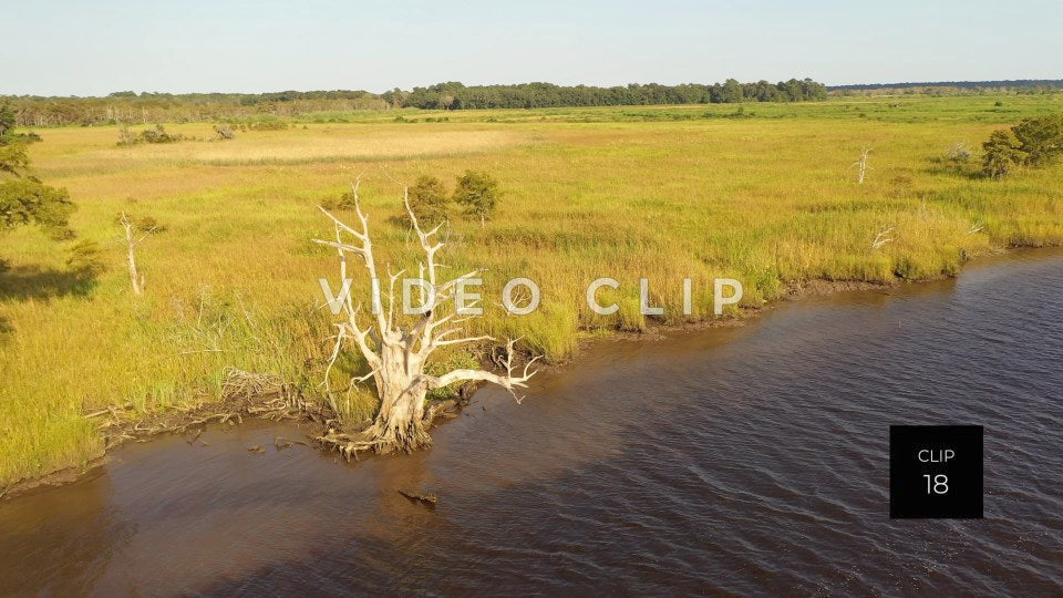 stock video ricefields south carolina steve tanner stock