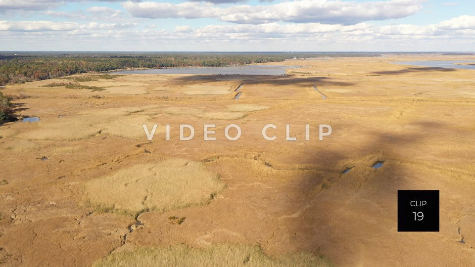 stock video ricefields south carolina steve tanner stock