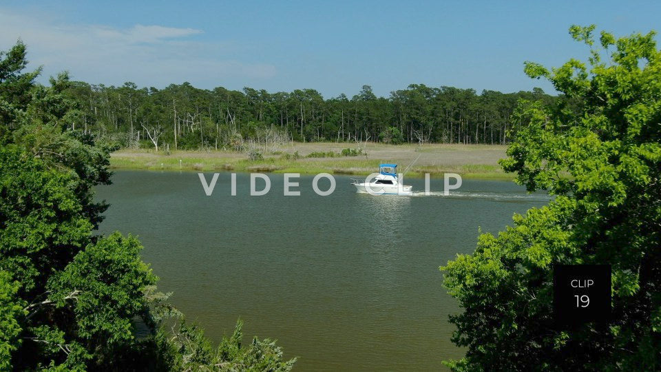 stock video estherville rice fields south carolina steve tanner stock