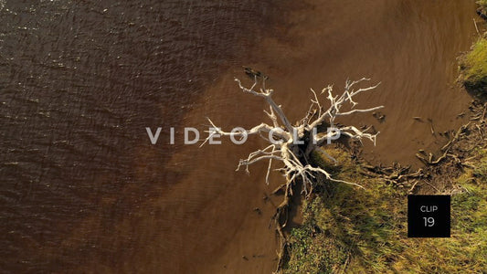 stock video ricefields south carolina steve tanner stock