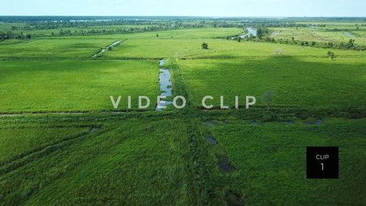 stock video rice fields south carolina steve tanner stock