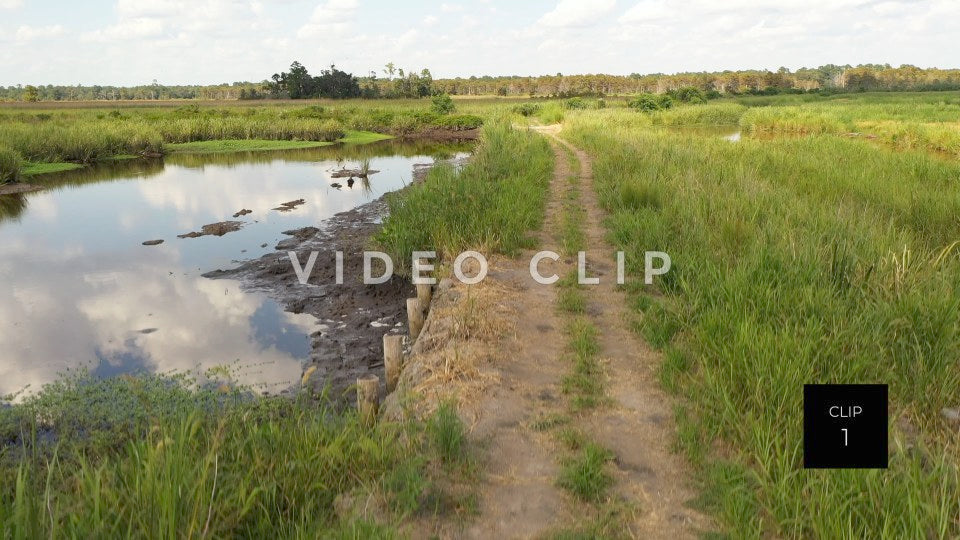 stock video ricefields south carolina steve tanner stock