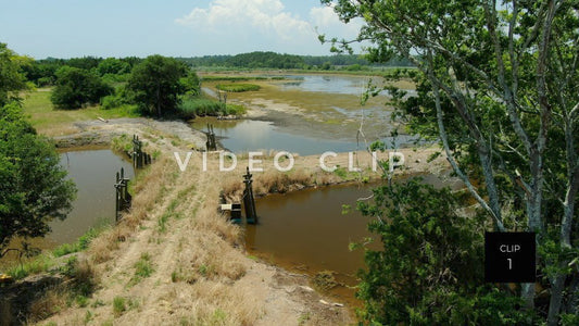 stock video estherville rice fields south carolina steve tanner stock