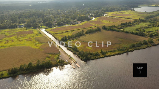 Stock video Georgetown, SC rice fields steve tanner stock