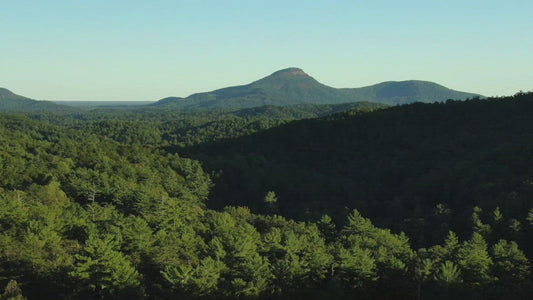 Video - Flying over North Georgia mountain landscape with view of Yonah Mountain