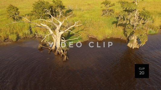 stock video ricefields south carolina steve tanner stock